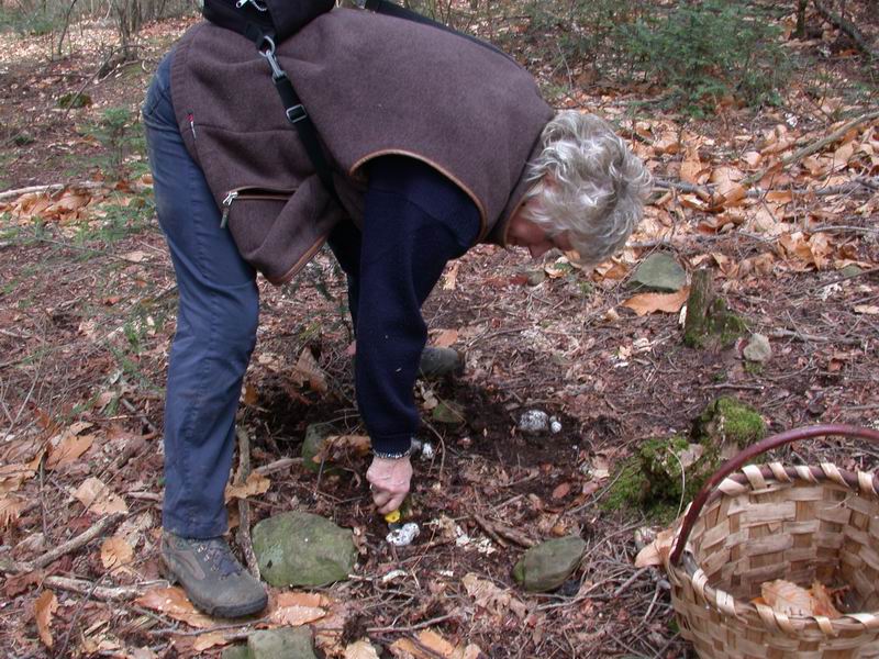 Prima escursione in montagna